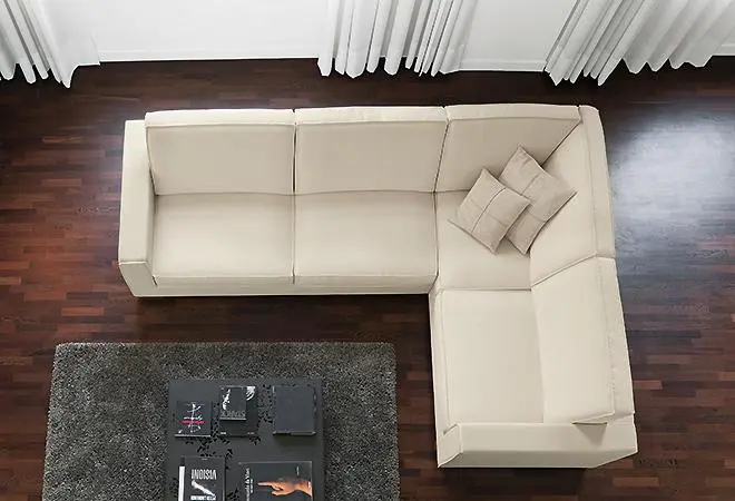 RigoSalotti RigoSalotti